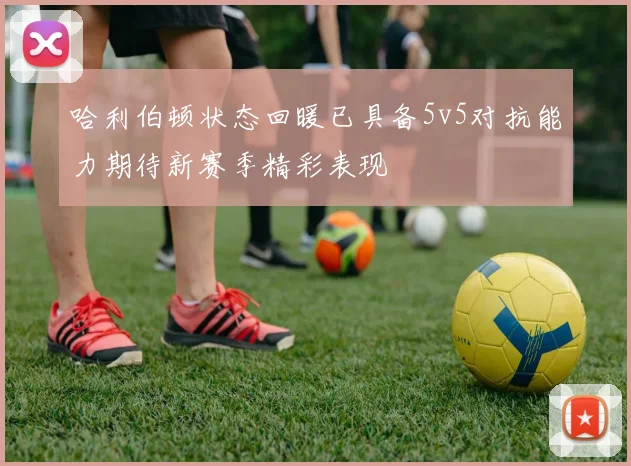 哈利伯顿状态回暖已具备5v5对抗能力期待新赛季精彩表现